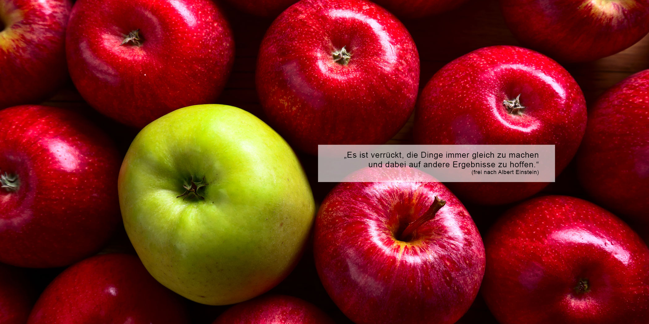 Яблоня сочное. Яблоки красные. Разноцветные яблоки. Яблоки фон. Сочное яблоко.
